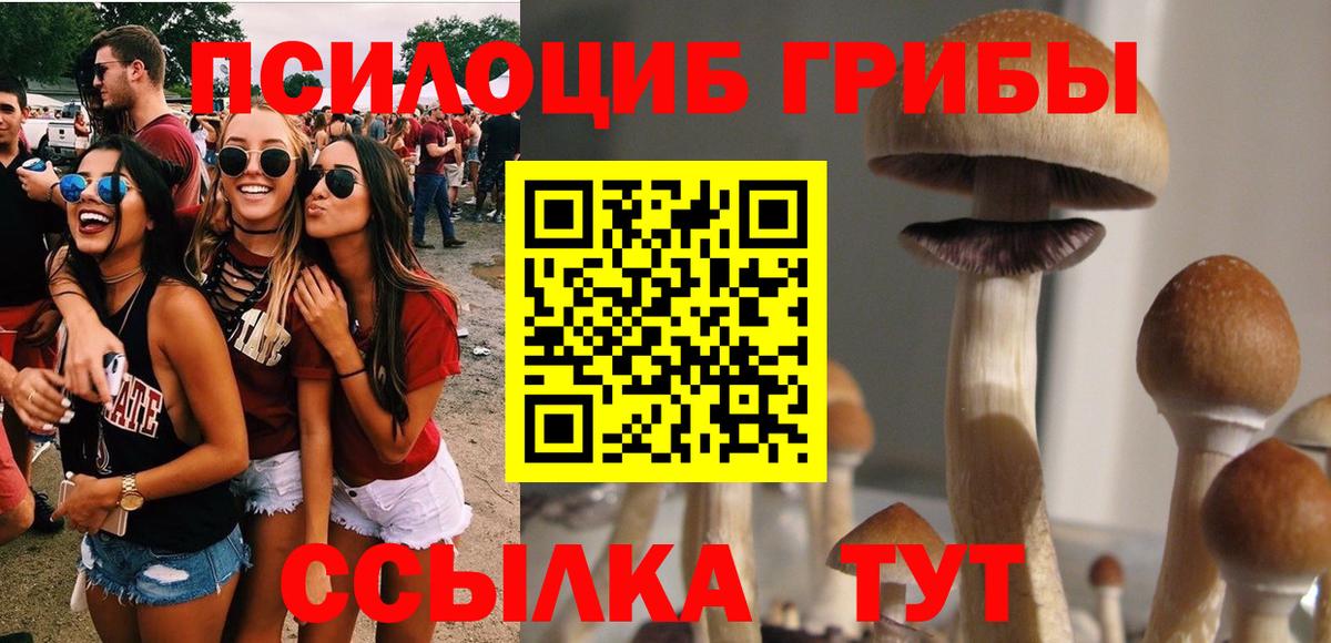 Сертолово  Галлюциногенные грибы Psilocybine cubensis  Вход с VPN 